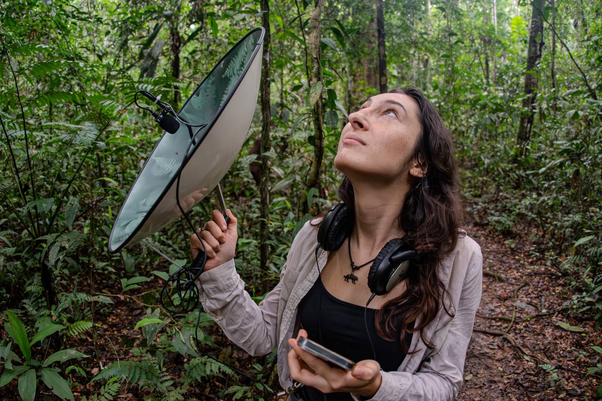 Student studying Primatology