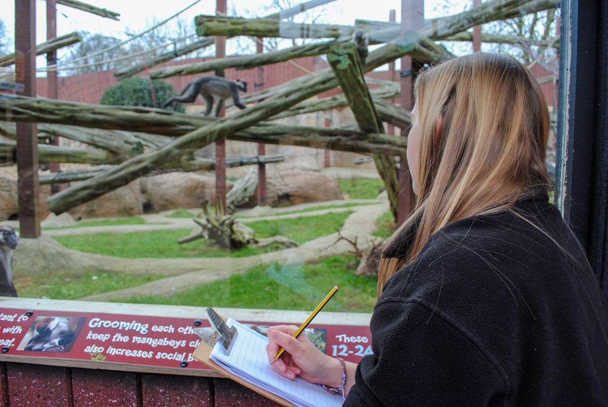 Student with monkeys