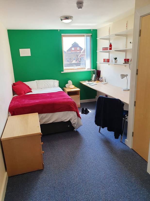 A student bedroom with green walls