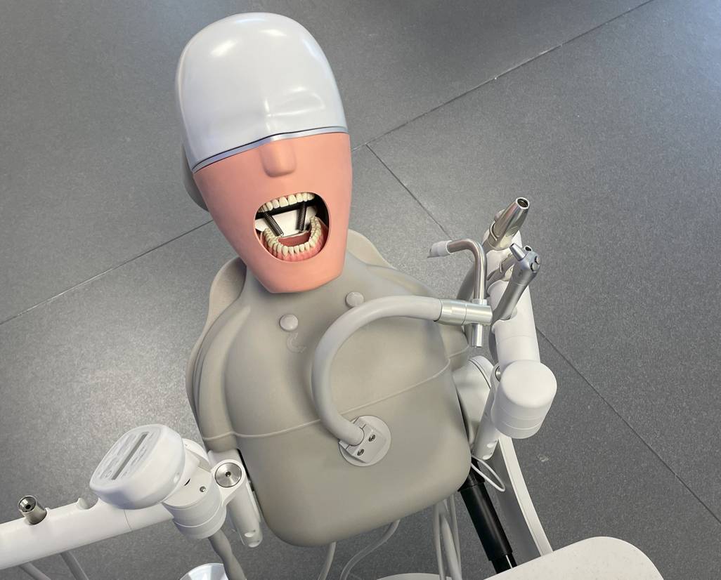 A photo of one of the mannequins in the dental teaching facilities