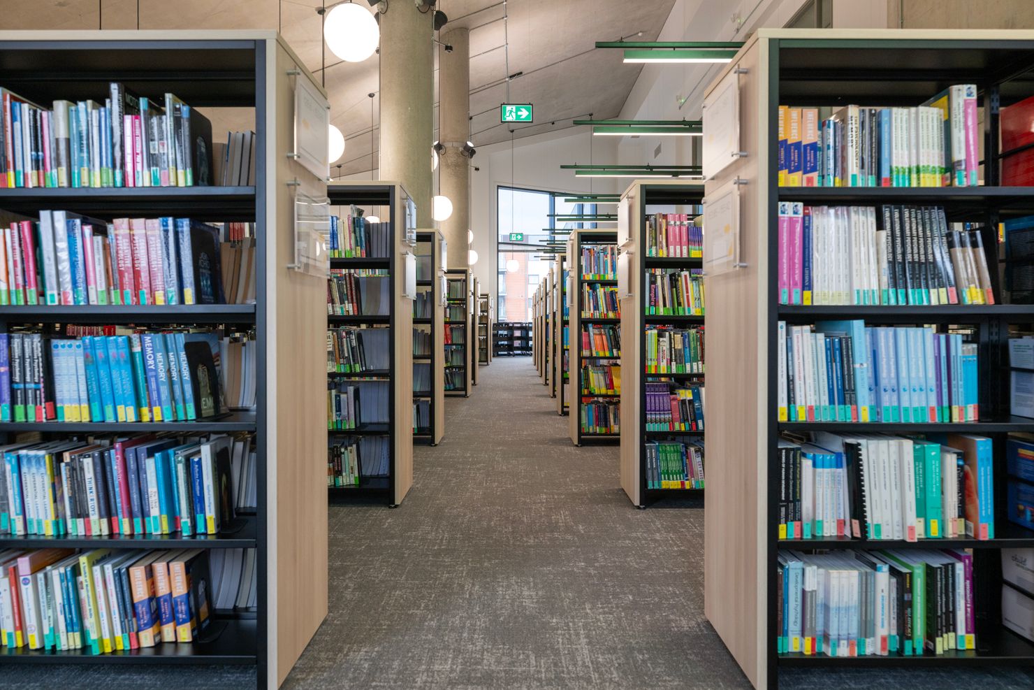 Bookshelves and step ladder