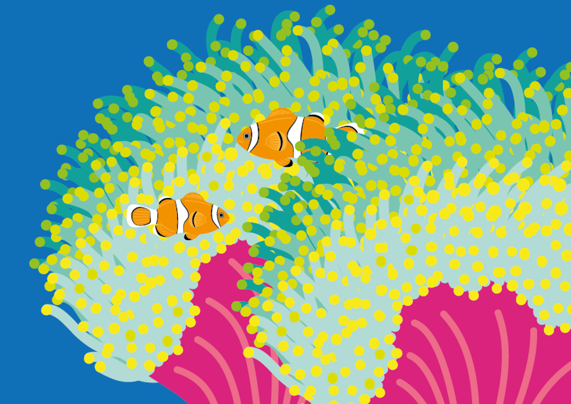 Clownfish swimming in ocean with coral in illustration