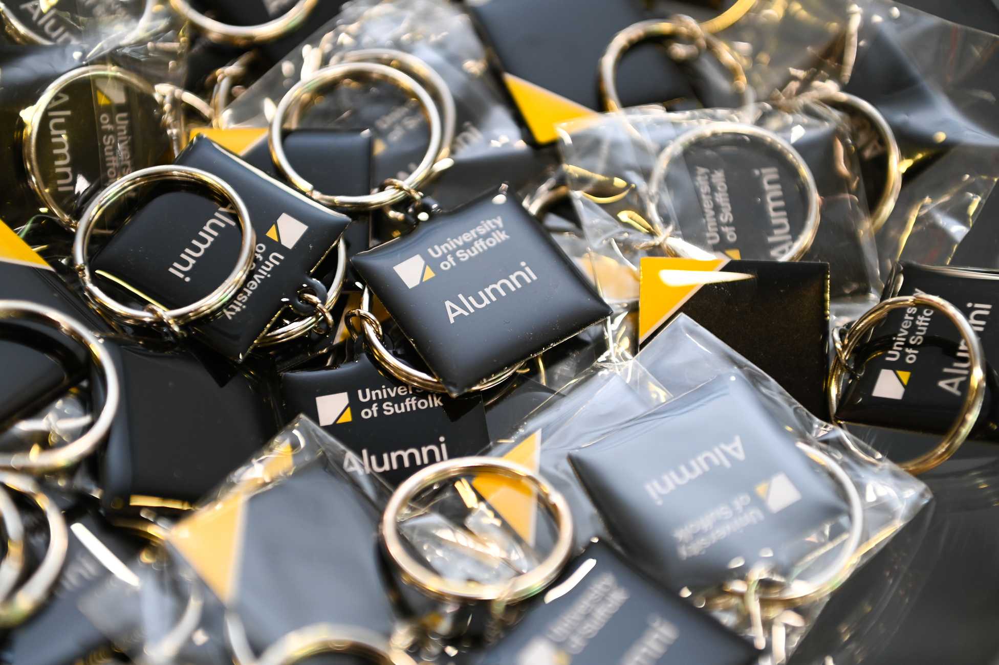 A pile of Alumni keyrings