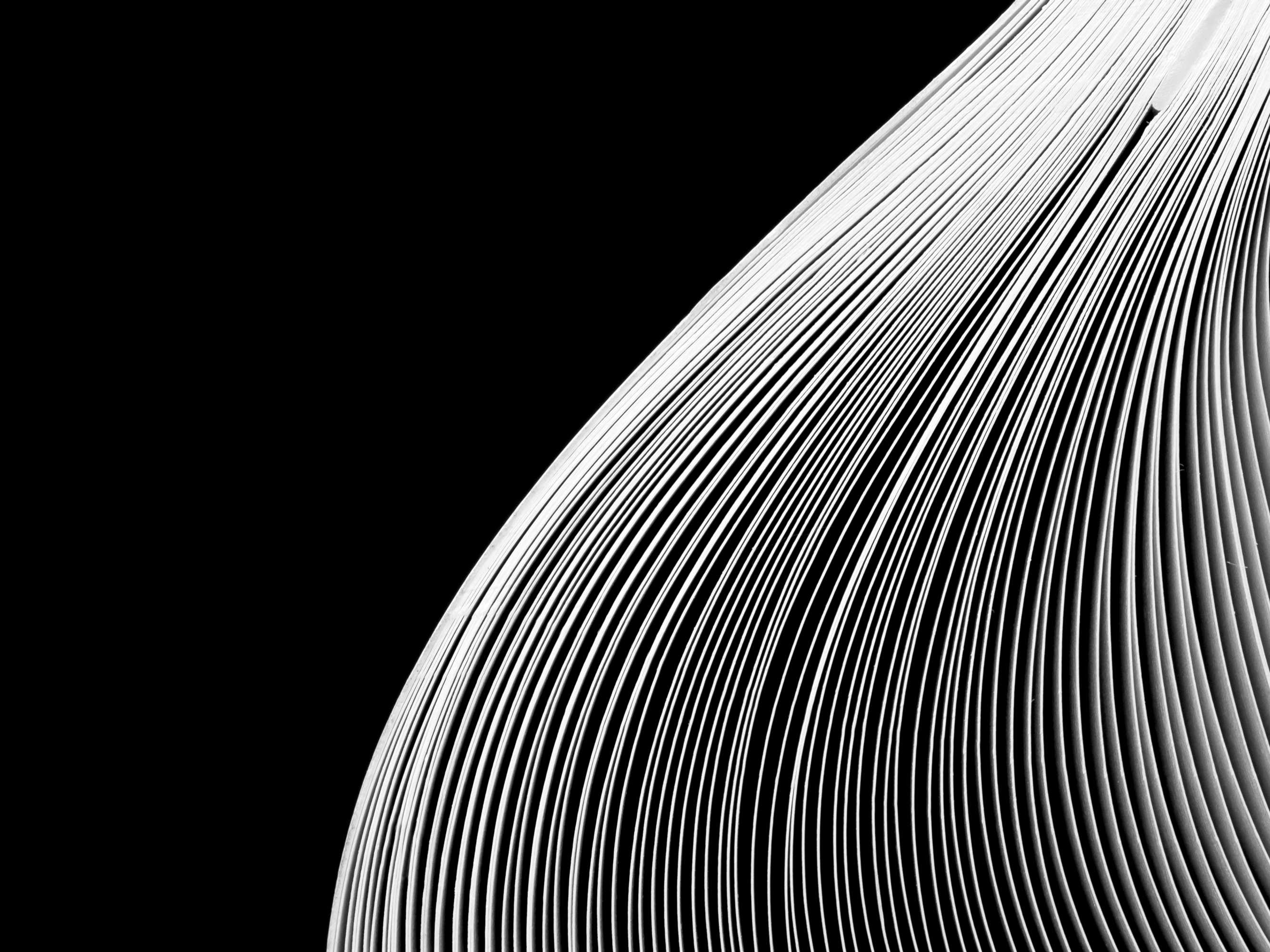 Close-up of book pages