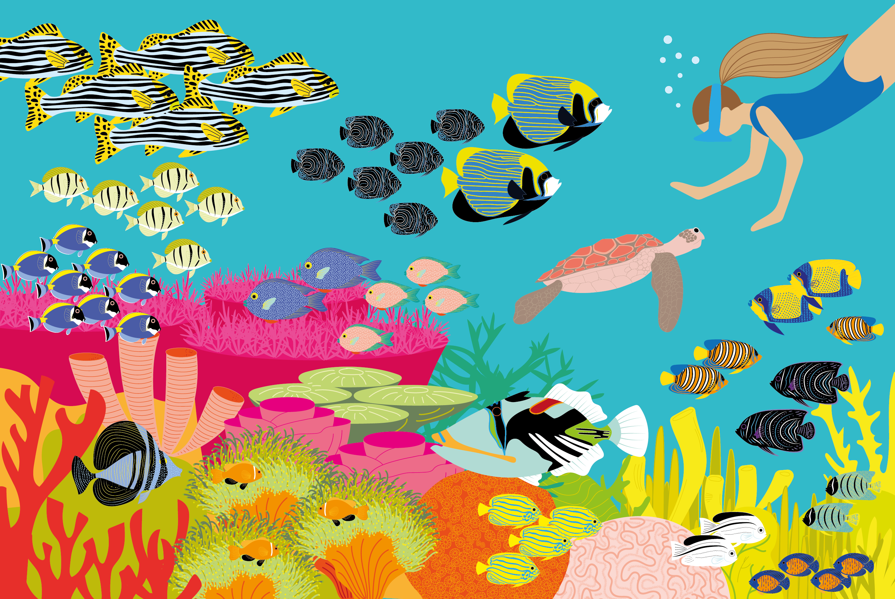 Brightly coloured illustration of tropical fish and coral reef in the ocean
