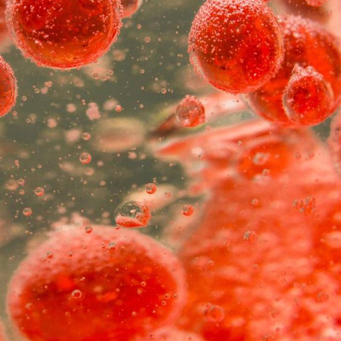 Red blood cells