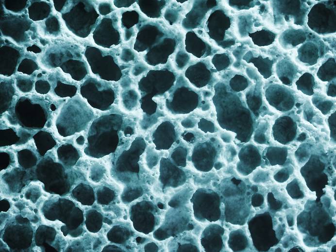 Bone cell structure