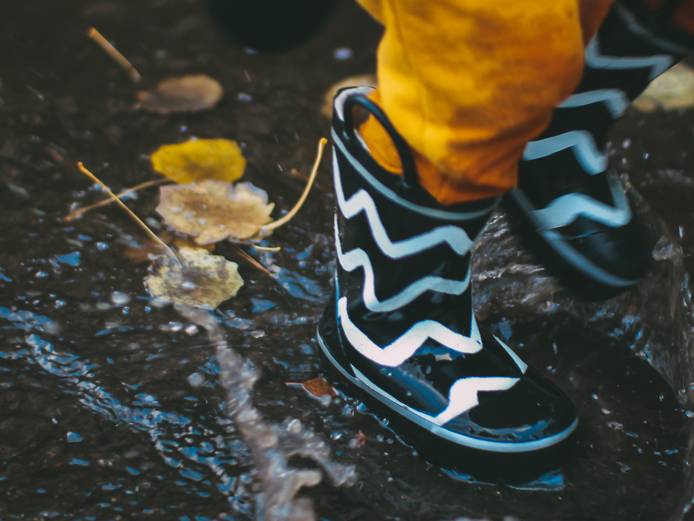 Wellington boots