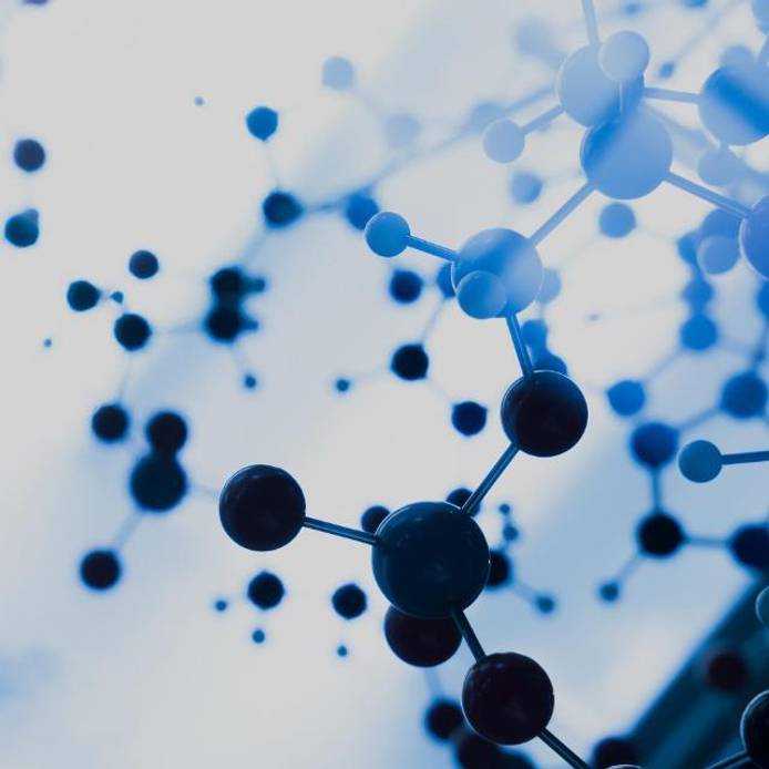 Molecule DNA structure