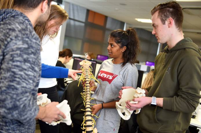 Students holding models of a human spine and pelvis