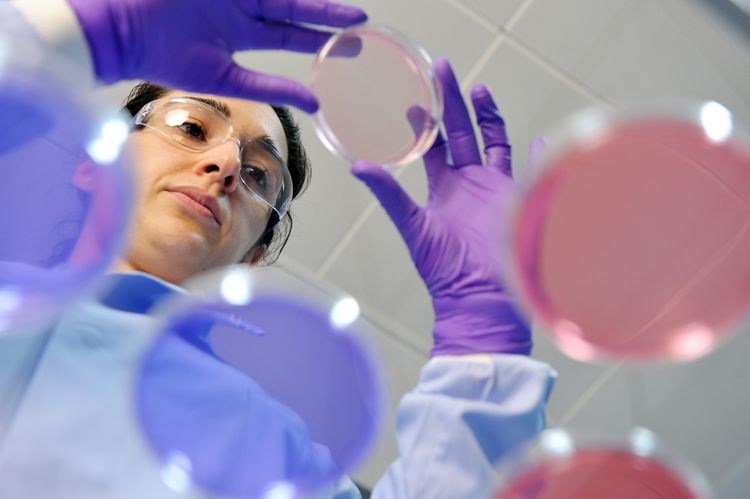 Close-up of a student with petri dishes