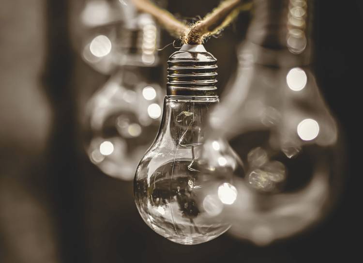 Close-up of lightbulbs hanging from rope