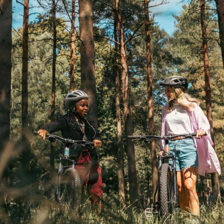Cyclists in a woodland setting