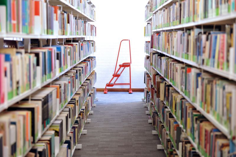 Bookshelves and step ladder