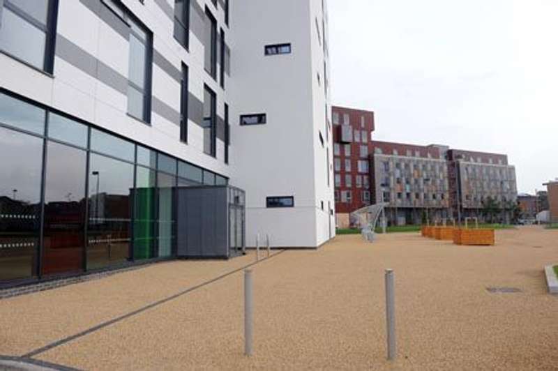 University of Suffolk, Autumn 2010