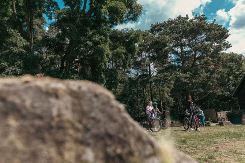 Cyclists in a woodland setting