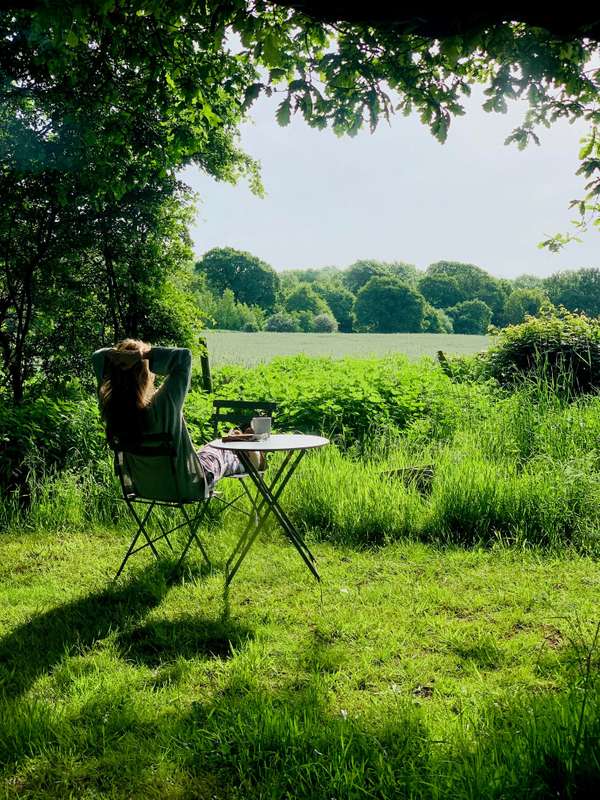 Person siting in a chair surround be green fields