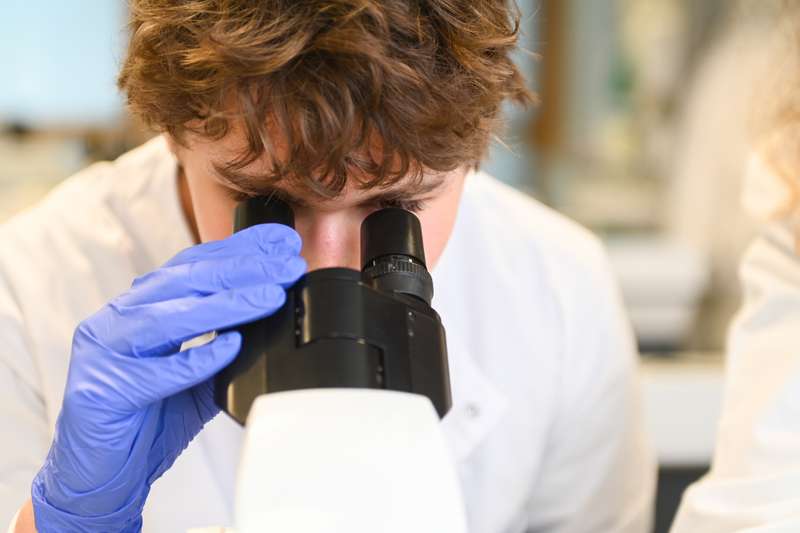 Close-up of student looking through a microscope