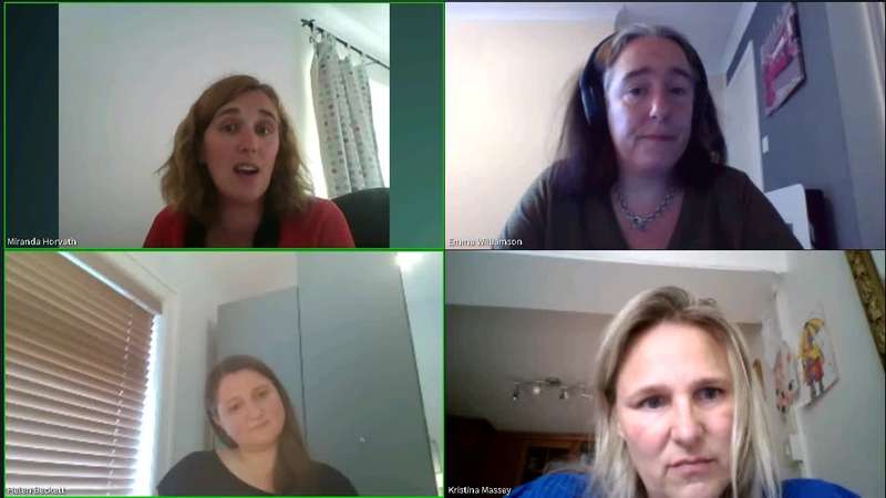 Screenshot from VAWGRN webinar with four people on a video call