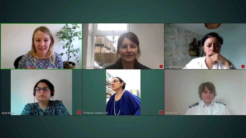 Screenshot from VAWGRN webinar with six people on a video call