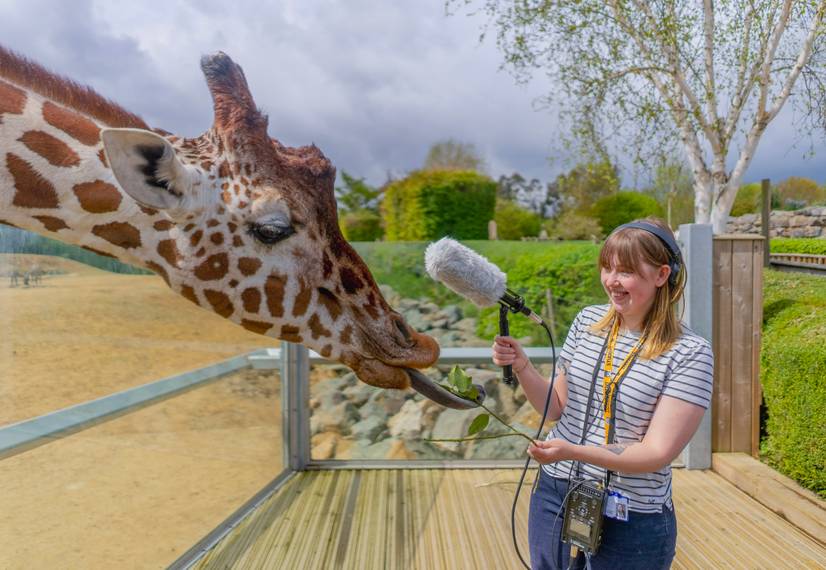 Student with giraffe
