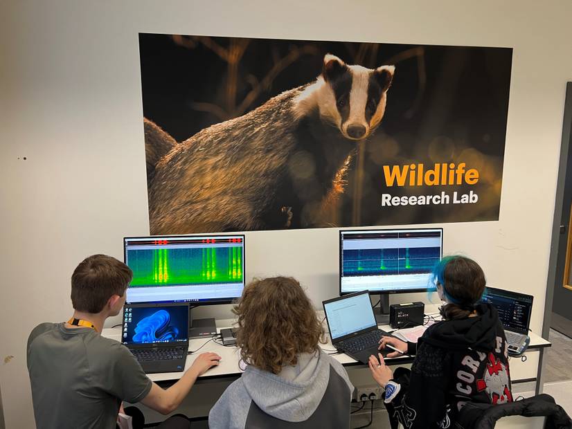 Left to right: Ƶ Wildlife, Ecology and Conservation Science students Daniel Beckett, Grace Tinklin and Skye Landells analysing the audio recordings (photo credit: Mark Bowler)