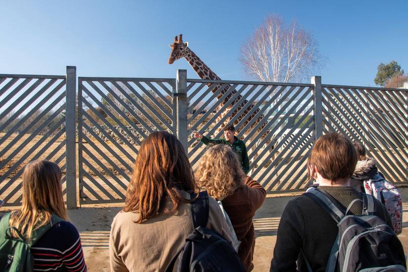 Students at giraffe enclosure at Colchester Zoo