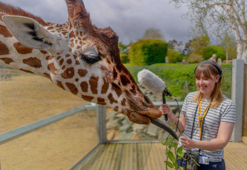 Wildlife students research ‘bioacoustics’ (wildlife sound)